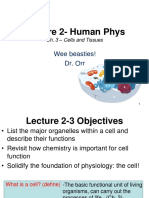 Lecture 2-Human Phys: Wee Beasties! Dr. Orr