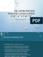 Test de Apercepcion Tematica para Niños Cat A y H 2022