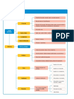 Síntesis: El Estudio Del Mercado