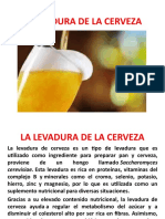 La Espuma de La Cerveza