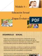 Etapas de desarrollo sexual humano