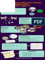 Infografia Herpesvirus Tipo-1