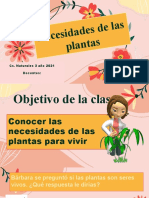 Clase de Las Plantas