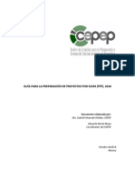 Guia Preparación Proyectos Fases General (CEPEP)