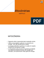 Mitocôndrias.pptx