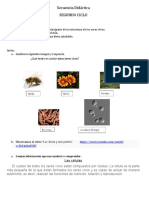 Naturales - Cuadernillo