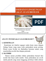 Dampak Kesehatan Lingkungan Peternakan Ayam Broiler