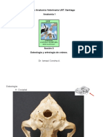 Osteología y Artrología de Cráneo.