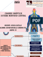 Cuadro Sinoptico X