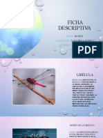 Ficha Descriptiva