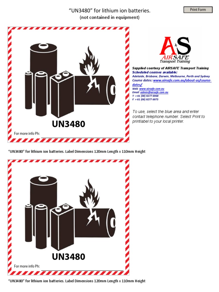 Printable UN3480 and UN3481 Labels | PDF | Chemistry | Chemical Elements