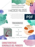 Tricocefalosis