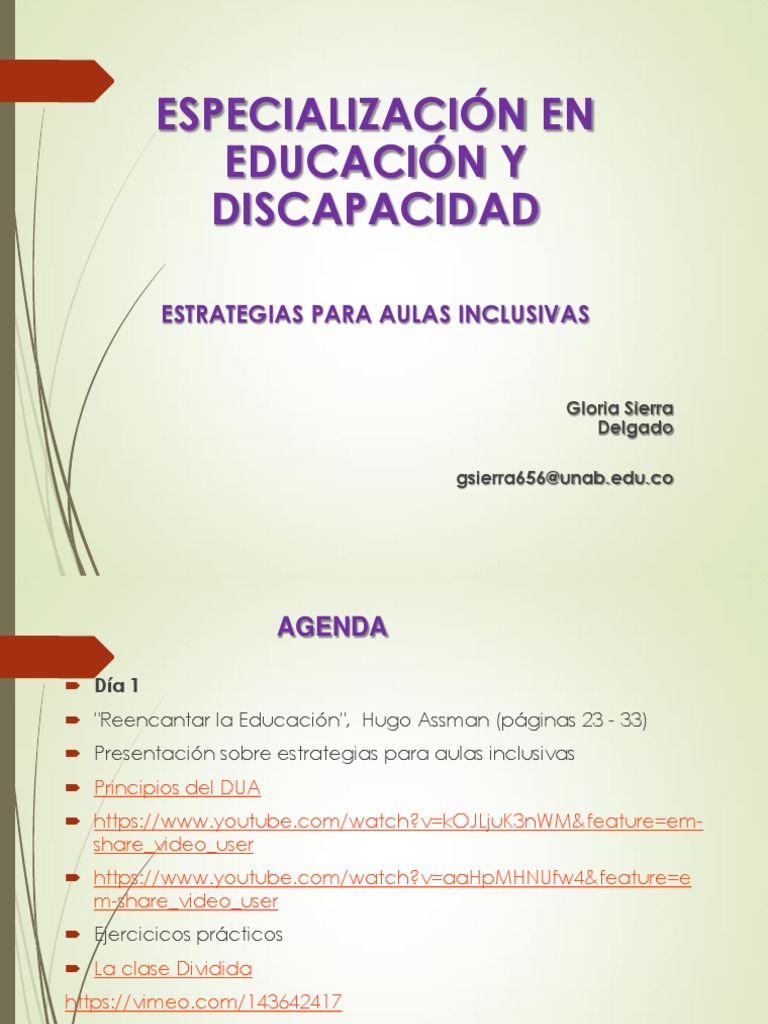 Estrategias para Aulas Inclusivas | PDF | Aprendizaje | Plan de estudios