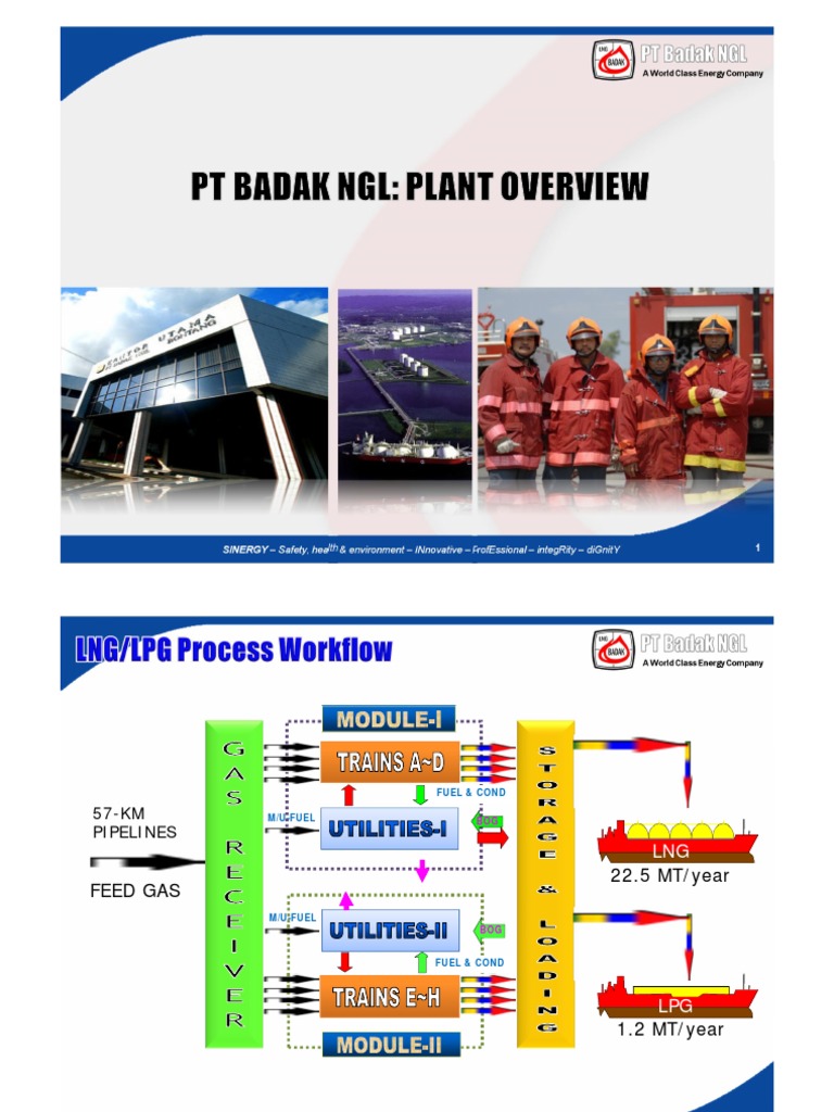 Lng Plant Process Overview Pdf Liquefied Natural Gas Chemistry