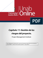 Gestion de Los Riesgos Del Proyecto