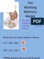 The Working Memory Model Describe The Main Components in The Working Memory Model