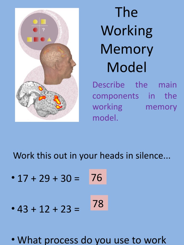 The Working Memory Model Describe The Main Components in The Working ...