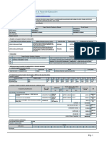 FORMATO Nº 08-A REGISTRO EN FASE DE EJECUCION