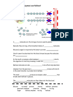 Digestive Enzyme