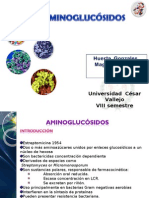 Aminoglucósidos antibióticos