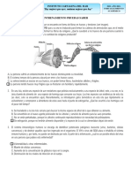 1108 1659190788 Icfesbiologia11°