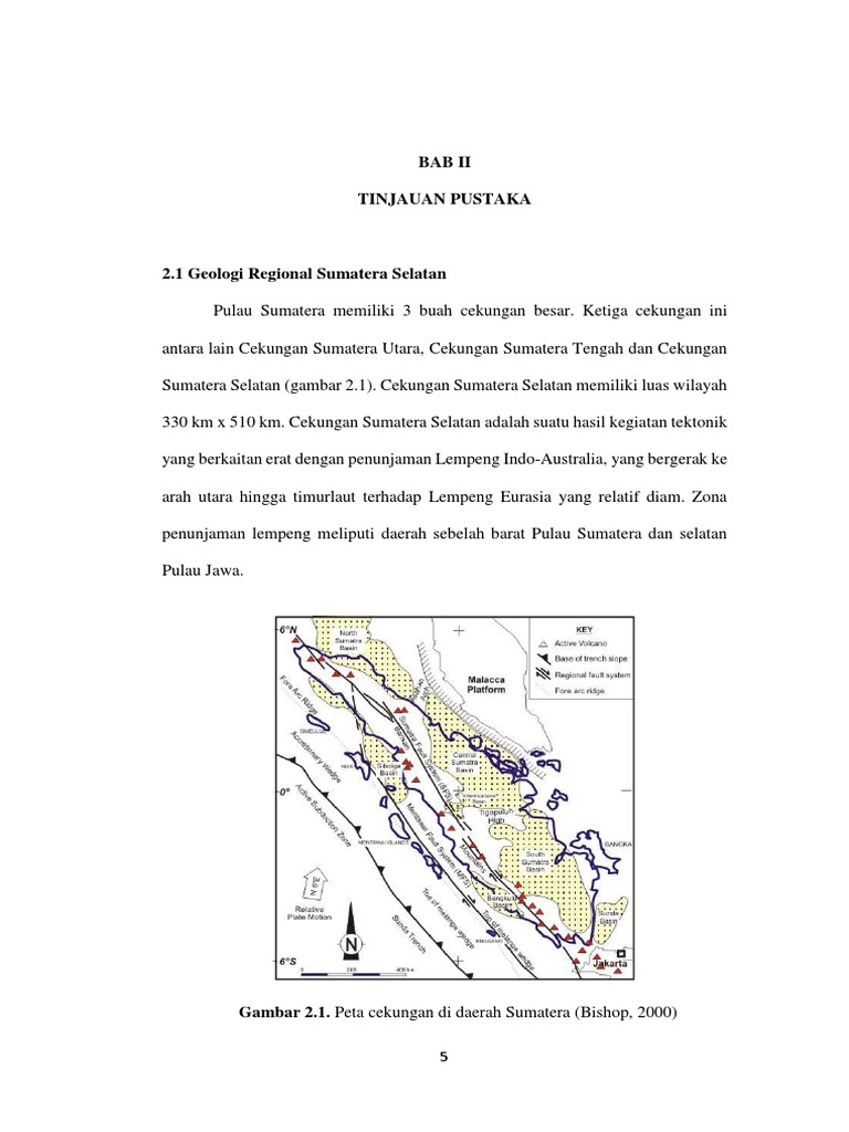 Geologi Regional dan Stratigrafi Cekungan Sumatera Selatan | PDF
