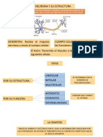 Exposición Neurociencia