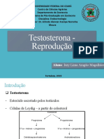 Testosterona: função reprodutiva e regulação do eixo hipotalâmico-hipofisário-testicular