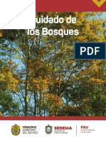 Cuidado de Los Bosques