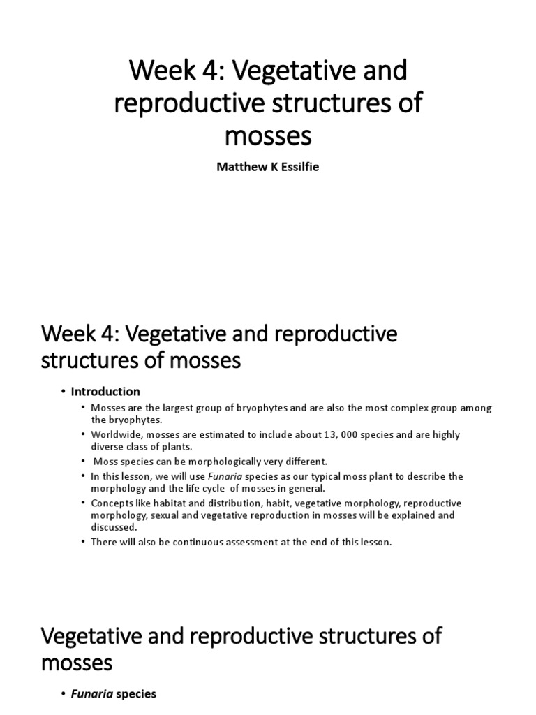 Week 4: Vegetative and Reproductive Structures of Mosses: Matthew K ...
