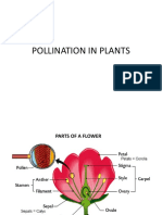 Pollination in Plants