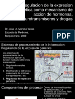 5.expresion Genetica y Neurotransmisores