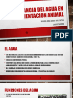 Importancia Del Agua en Alimentacion Animal