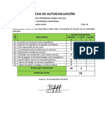 FICHA DE AUTOEVALUACIÓN BRI