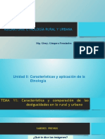 Tema 11, Características y Comparación de Las Desigualdades en Lo Rural y Urbano