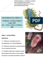 Tema 2 - Generalidades de Las Bacterias