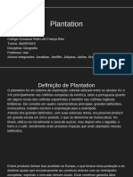 O que é um plantation