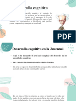 Desarrollo Cognitivo