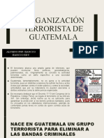 Organización Terrorista de Guatemala
