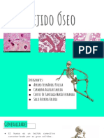 Tejido Óseo (Histología)