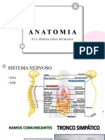 ANATOMIA