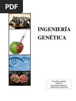 ingenieria-genetica