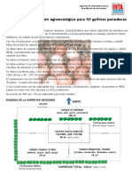 Modelo Agroecologica p 50 Ponedoras