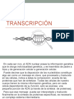 Transcripción y Sintesis Proteica 2022 (2)