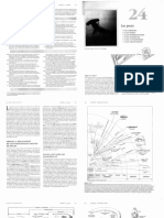 Zoología Principios Integrales de Hickman - PDF Cap.24