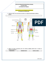 Rutinas de ejercicios para músculos principales