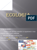 Ecossistemas e interações