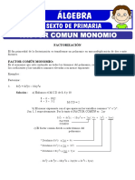 Ejercicios de Factor Comun Monomio para Sexto de Primaria