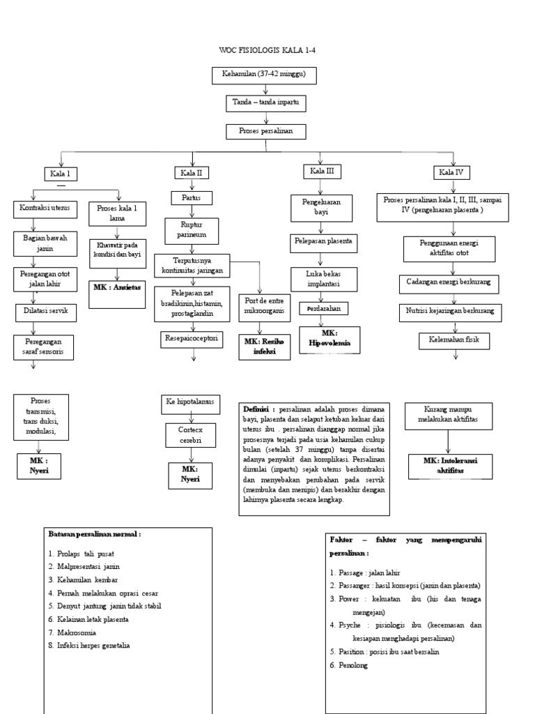 Proses Persalinan Kala 1-4 | PDF