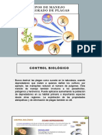 Tarea 6. EXPOSICIÓN MIP